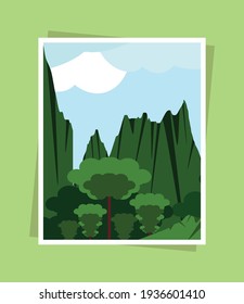 landscape rainforest mountains trees greenery