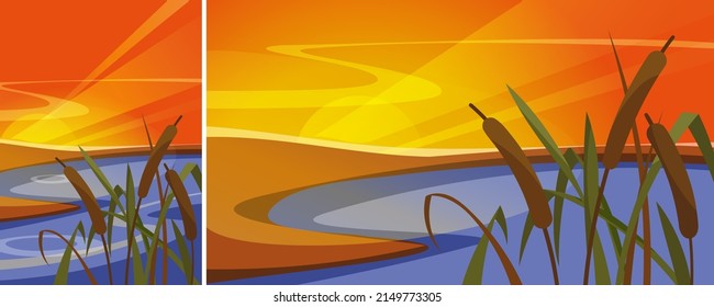 Landscape with reeds at sunset. Natural scenery in different formats.