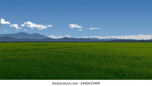 landscape with rice field and sky