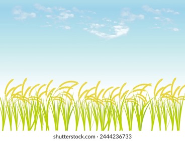 Landscape of rice paddies in Japan
