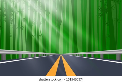 landscape of the road in the forest 