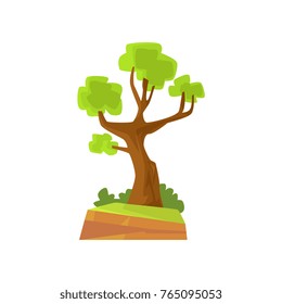 Landscape scene with forest or park tree. Deciduous tree with green foliage. Hand drawn woodland nature design element. Flat vector botanical illustration