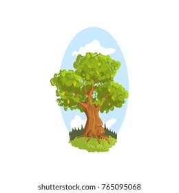 Landscape scene with forest or park tree. Deciduous tree with green foliage. Hand drawn woodland nature design element. Flat vector botanical illustration