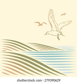 landscape with sea and gulls