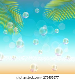  Landscape of sea palm tree