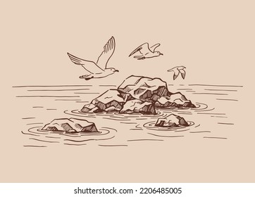 Paisaje, mar, rocas, gaviotas. Ilustración dibujada por mano