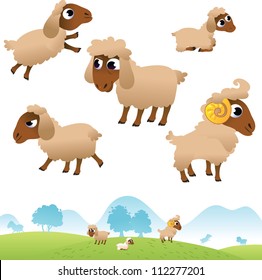 Landscape and set of sheep and Lambs