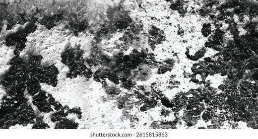 A Landscape Shaped by Time, Not Touch

