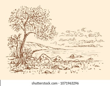 Landscape sketch of the lake, trees, stones. Hand drawn vector illustration.