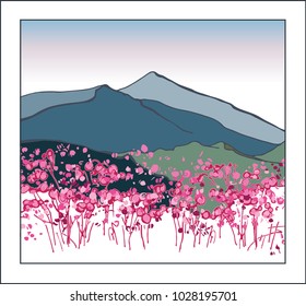 Landscape of South Korea. Korean mountains. Blooming azalea in the mountains. Chirisan Mountains
