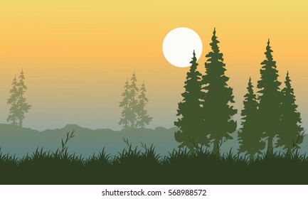 Landscape of spruce with orange sky vector art