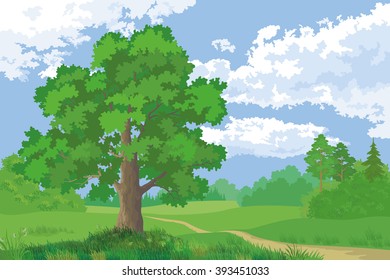 Landscape, Summer Forest and Oak Tree