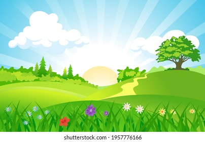 landscape summer green fields with grass,trees,white cloud and blue sky on sunrise .vector illustration.