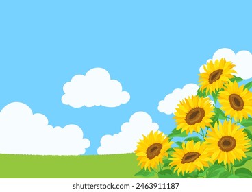 Landschaft von Sonnenblumen und blauem Himmel. Hintergrund-Illustration