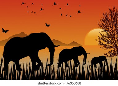 Landscape at Sunset with African elephants and flocks of birds and butterflies