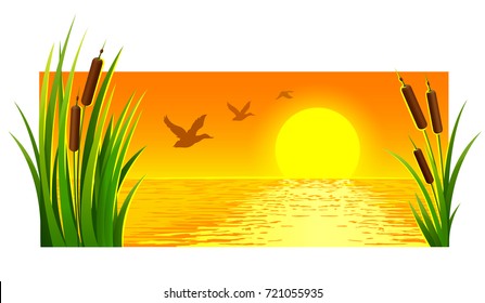 Landscape of sunset at lake with reeds and bright sun on the horizon skyline. Flying wild ducks birds. Horizontal banner, isolated on white background. Vector illustration.