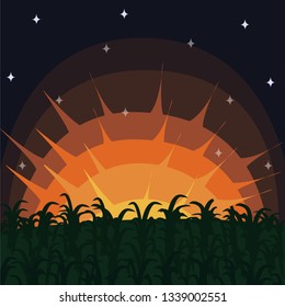 landscape sunset or sunrise in the field. vector image. greeting card or background. the setting or rising sun over the grass.