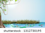 landscape of the swamp