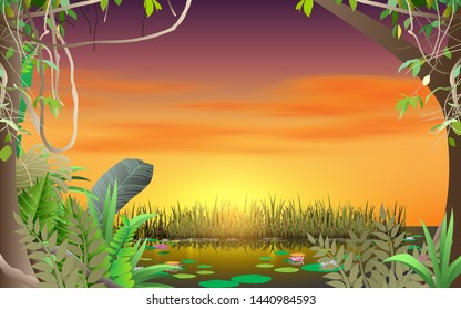 landscape of swamp in the jungle in sunset