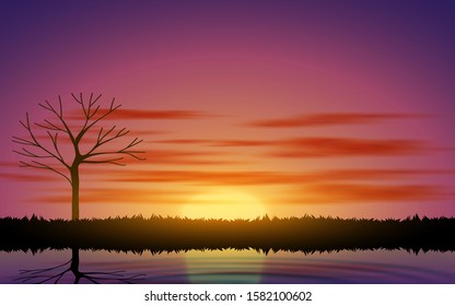 landscape of swamp in the morning