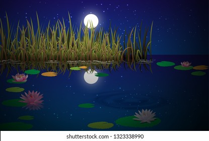 landscape of swamp in the night