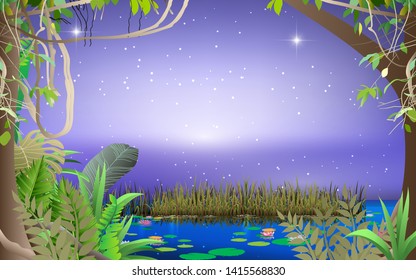 landscape of swamp in the night