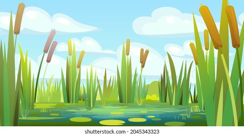 Landscape with a swampy shore of a lake or river. Coast is overgrown with grass, reeds and cattails. Water with water lily leaves. Wild pond. Vector