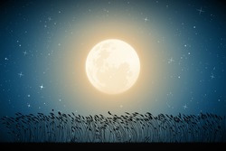 Landscape With Tall Grass. Full Moon In Night Starry Sky
