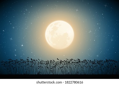 Landscape With Tall Grass. Full Moon In Night Starry Sky