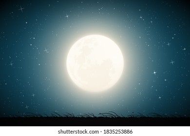 Landscape with  tall grass on moonlight night. Blue mysterious background with full moon in starry sky. Horizontal vector illustration for use in polygraphy, textile, design, decor