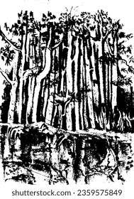 Landscape with tall mast pine trees. Dark forest. Natural abstract landscape background.