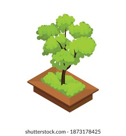 Landscape tree design isometric with grass vector illustration