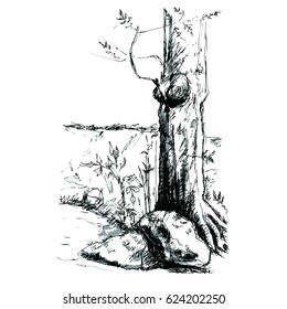 Landscape with tree and river bank. Hand drawn sketch vector illustration on white background. Black & white & gray. 