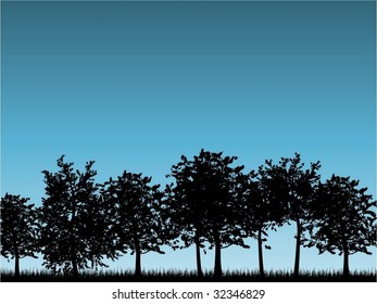 Landscape of trees