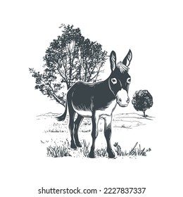 Landscape with trees and a grazing donkey. Hand drawn realistic vector illustration. Engraving style.
