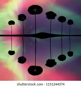 Landscape with trees at night. Vector illustration with isolated silhouettes of maples reflected in water. Northern lights in starry sky. Colorful aurora borealis
