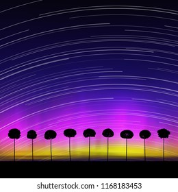 Landscape with trees at night. Vector illustration with isolated silhouettes of maples in grass. Rotation of stars. Northern lights in starry sky. Colorful aurora borealis