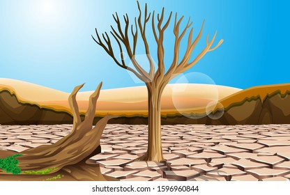 landscape of trees on the dry soil in the desert