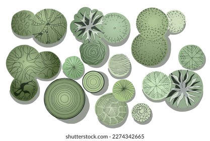 Landscape trees in terms of graphics hand drawn architectural design of the site decoration shrubs sketchy set large on a white background black and white doodle sketch