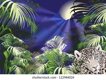 landscape, tropical plants tiger (wild animal)