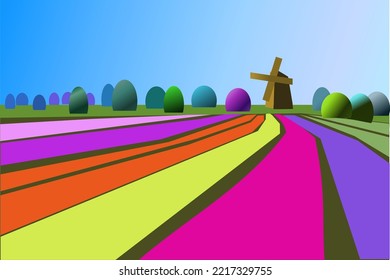   landscape tulip field with windmill