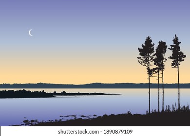 Landscape vector illustration, beautiful nature with silhouette of pine trees on lake shore in the evening. Scandinavian summer night outdoors. Camping in Swedish archipelago, calm river background