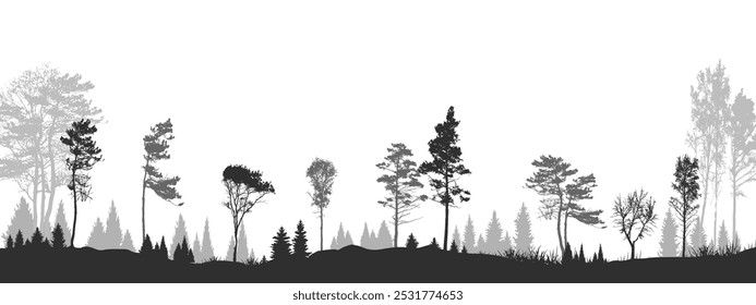 Paisaje Ilustración vectorial Panorama Horizontal Vista Bosques blancos negros Selva Naturaleza Paisaje Árboles Pájaros del cielo Niebla Neblina Atmósfera