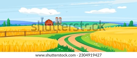 Landscape view of a crop field with a barn and a road. Rural harvest scene with beautiful golden wheat. Poster of beautiful countryside farmland with yellow crops in fall. Cartoon vector illustration