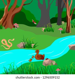 landscape view, river, duck, insects and animals