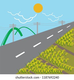 landscape views of road and rice fields in the village