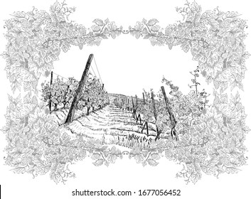 Landscape with vineyard around of the decorative frame from grapes and vines. Vector illustration hand drawn in sketch style isolated on white