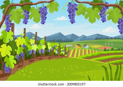 Landscape with of vineyard. Background village with fields of greenhouses and grapes in the foreground. landscape with hills, meadows, blue sky. Vector banner for  winemaking, harvesting.