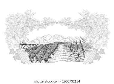 Landscape of vineyard inside of decorative Frame from grapes and vines, hand drawn in sketch style. Vector illustration isolated on white