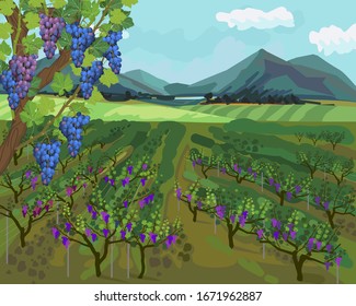 Landscape with vineyard, mountains on horizon and blue sky in impressionistic manner